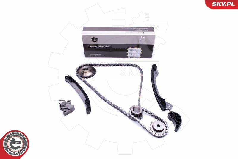 Timing Chain Kit